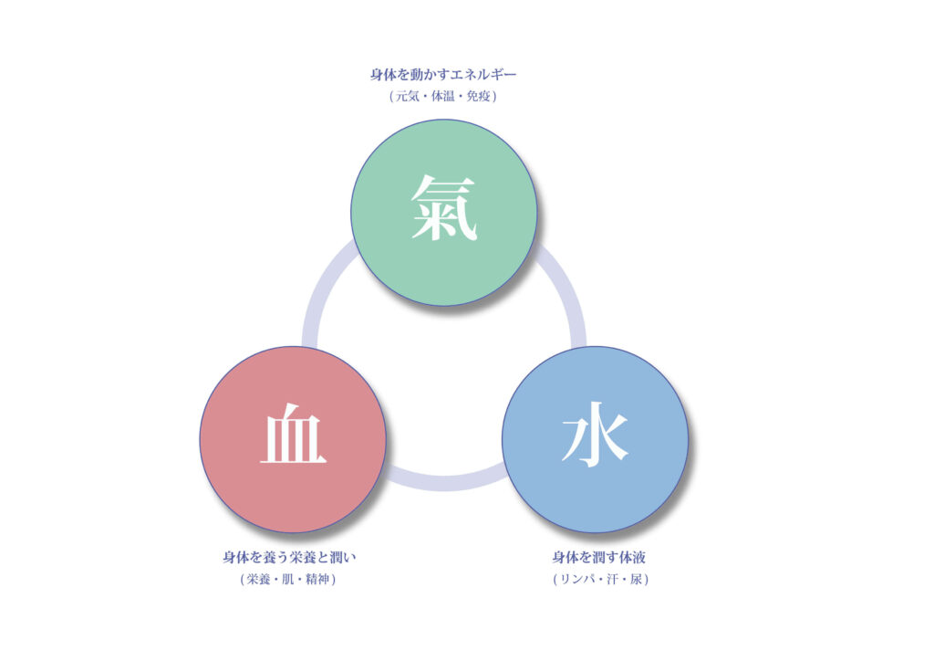 気血水