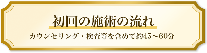 初回の施術の流れ