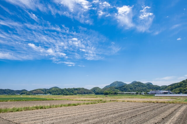 農場